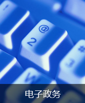 电子政务